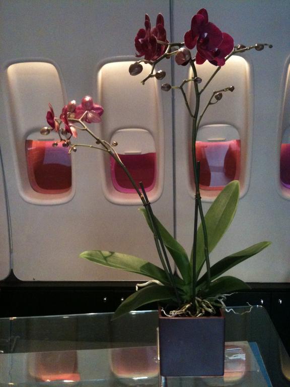 Hotel Windsor Opera 4*